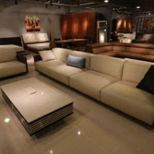 Professional Sofa Repair Service